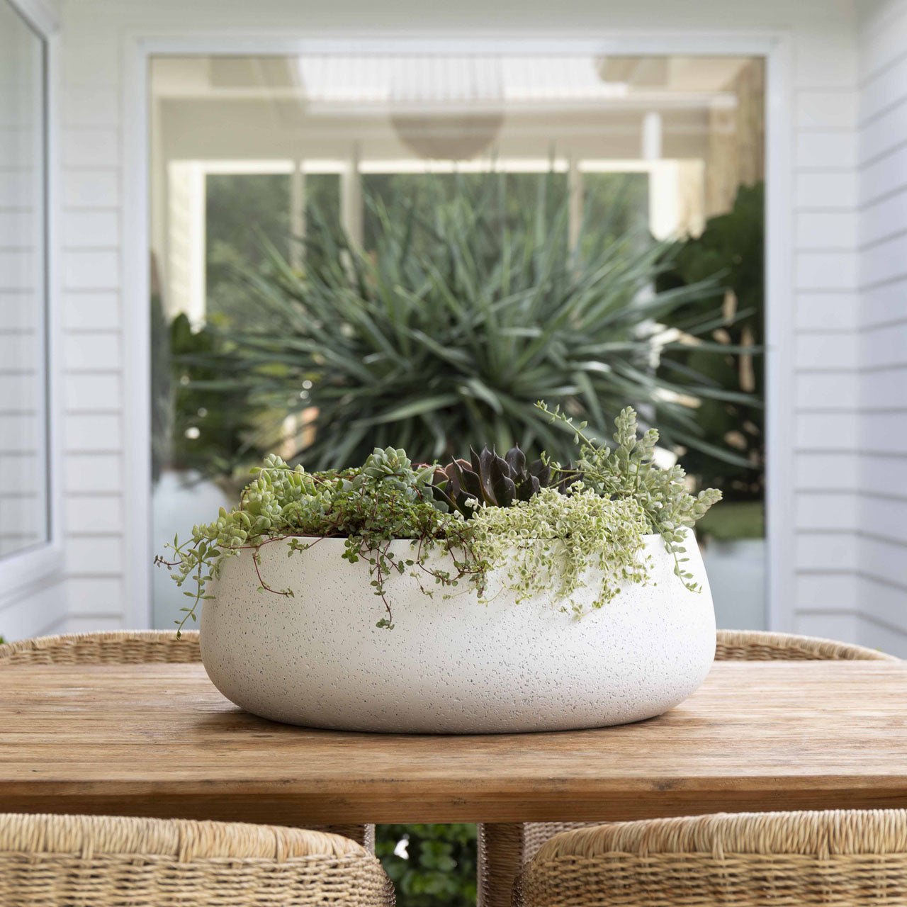 Aphrodite Bowl Planter. Lime Wash Chalk