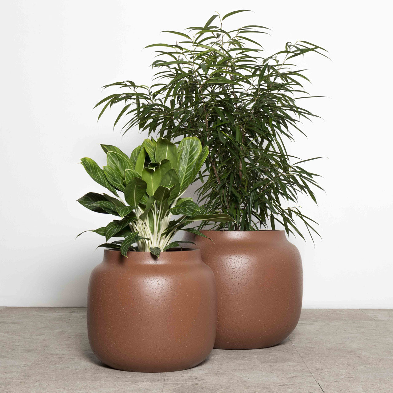 Aphrodite Tub Planter. Burnt Terracotta