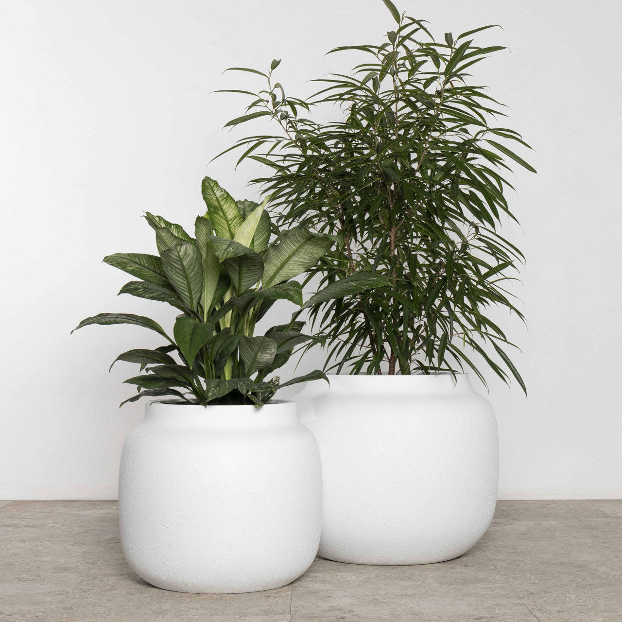 Aphrodite Tub Planter. Lime Wash Chalk