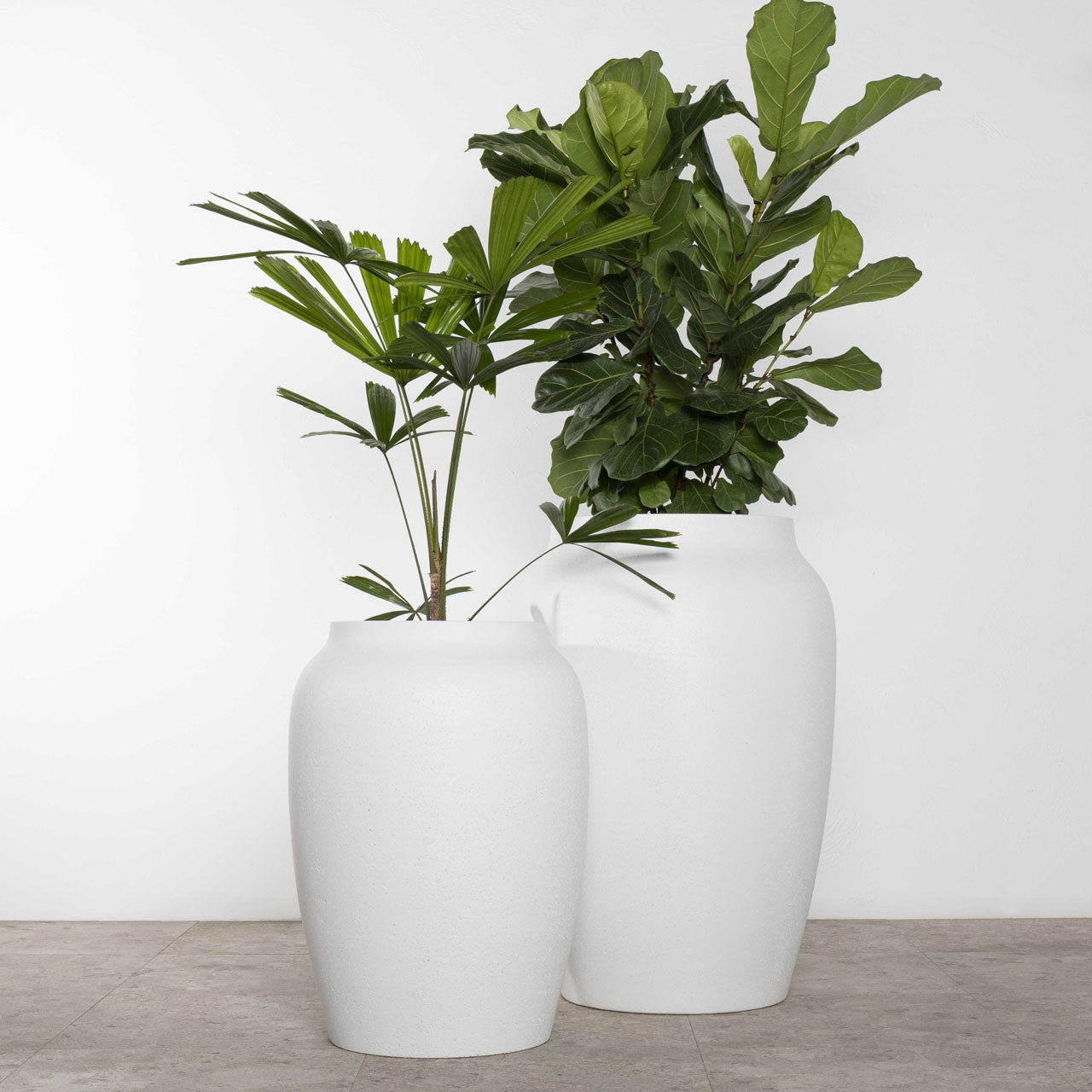 Aphrodite Urn Planter. Lime Wash Chalk