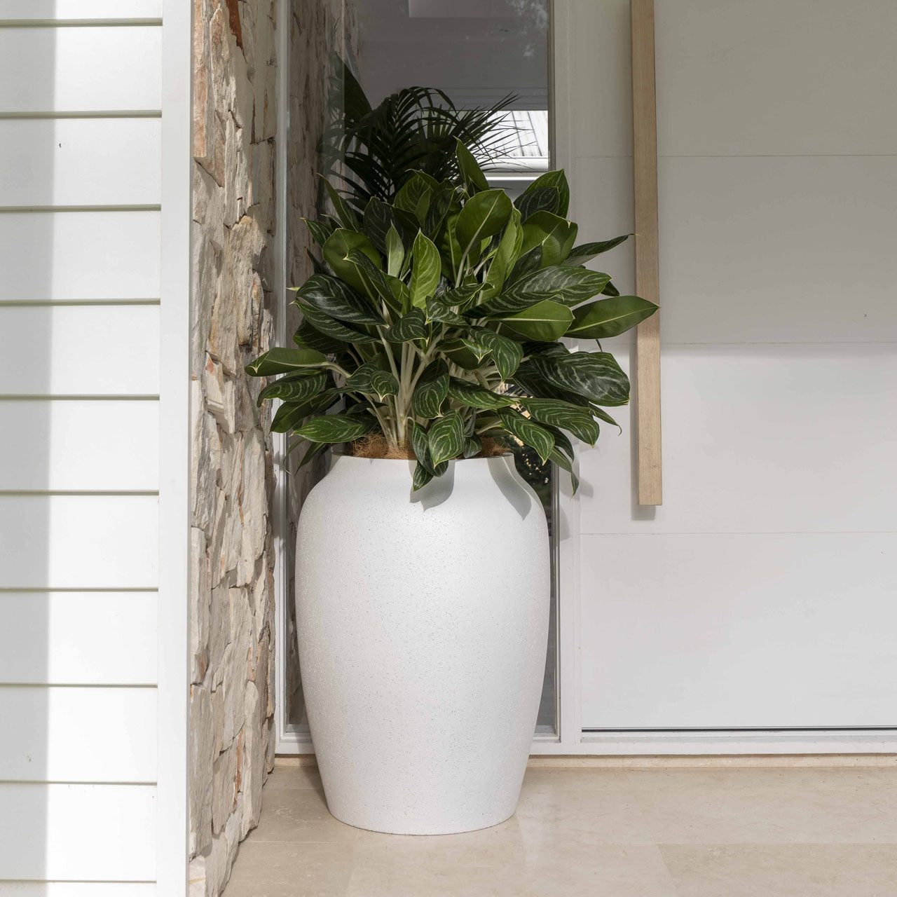 Aphrodite Urn Planter. Lime Wash Chalk