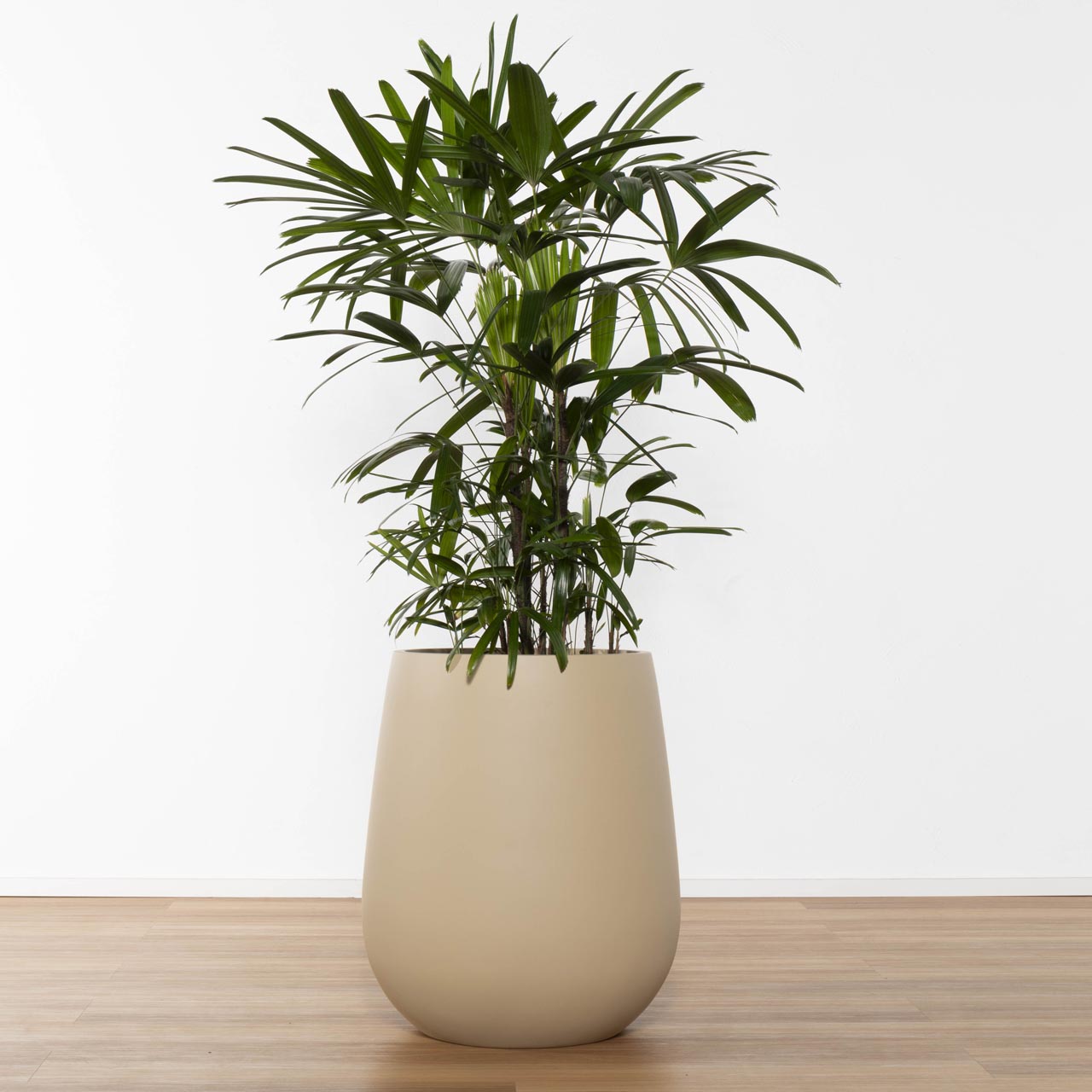 Balmoral Egg Planter