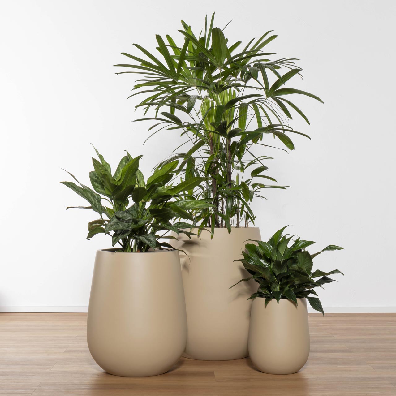 Balmoral Egg Planter