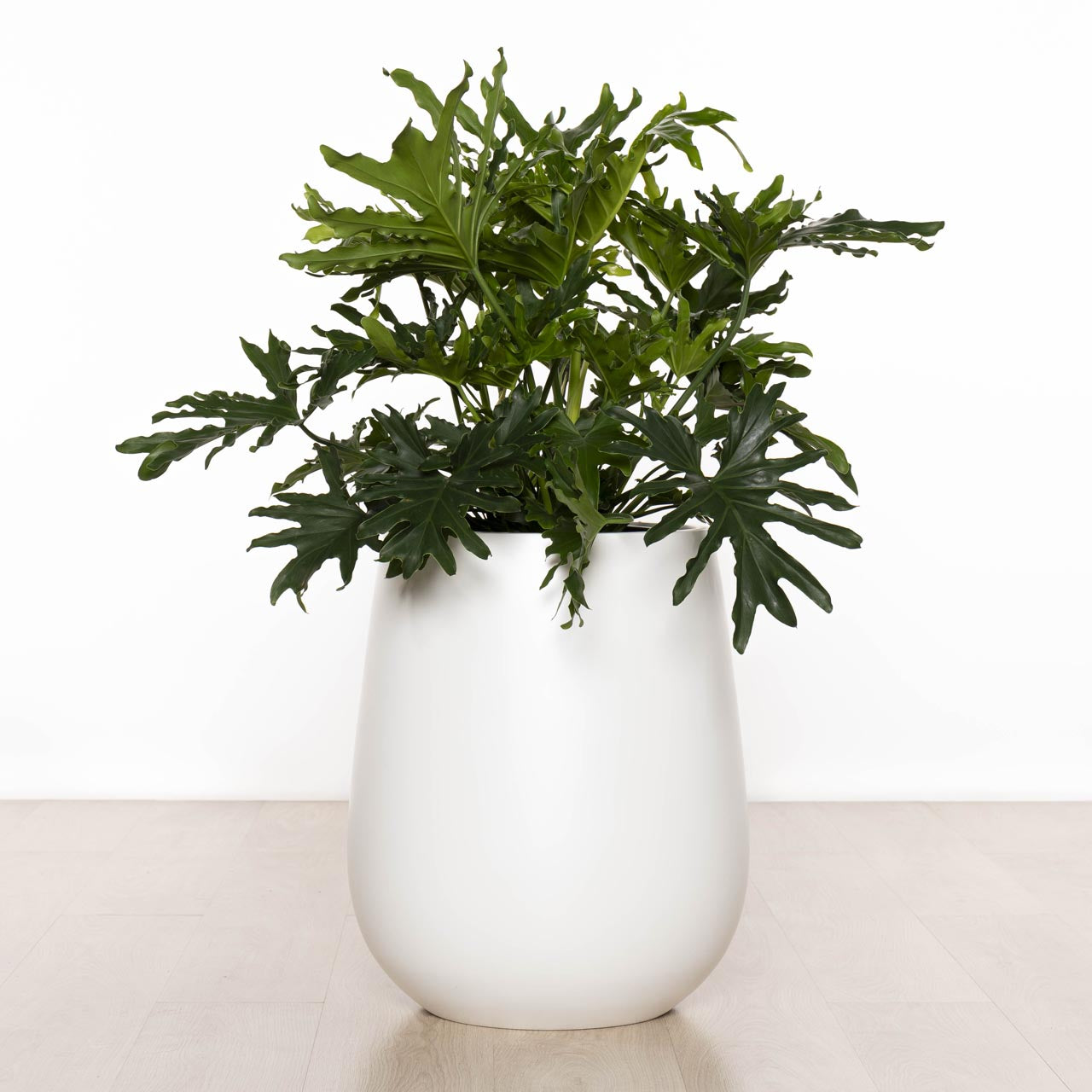 Balmoral Egg Planter