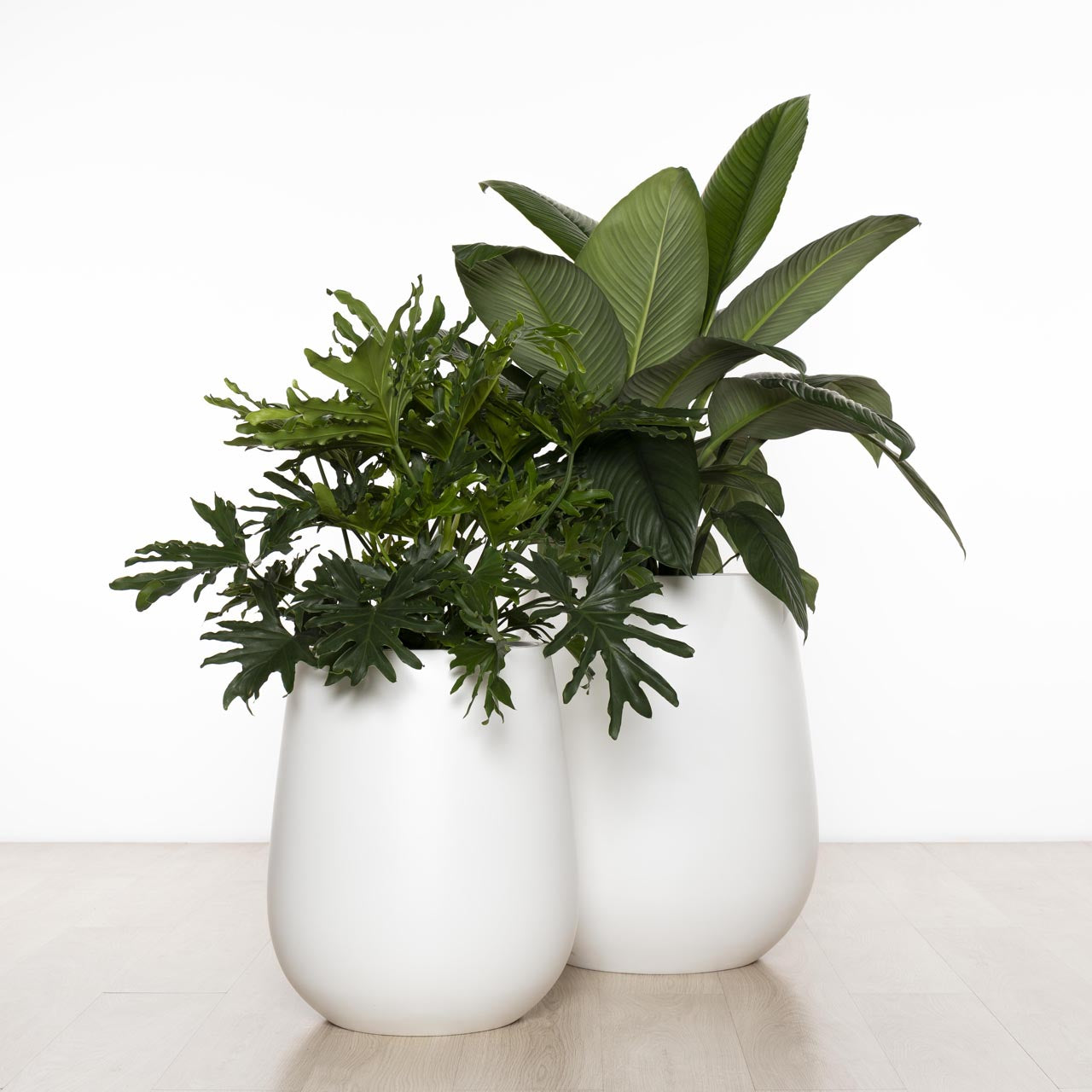 Balmoral Egg Planter