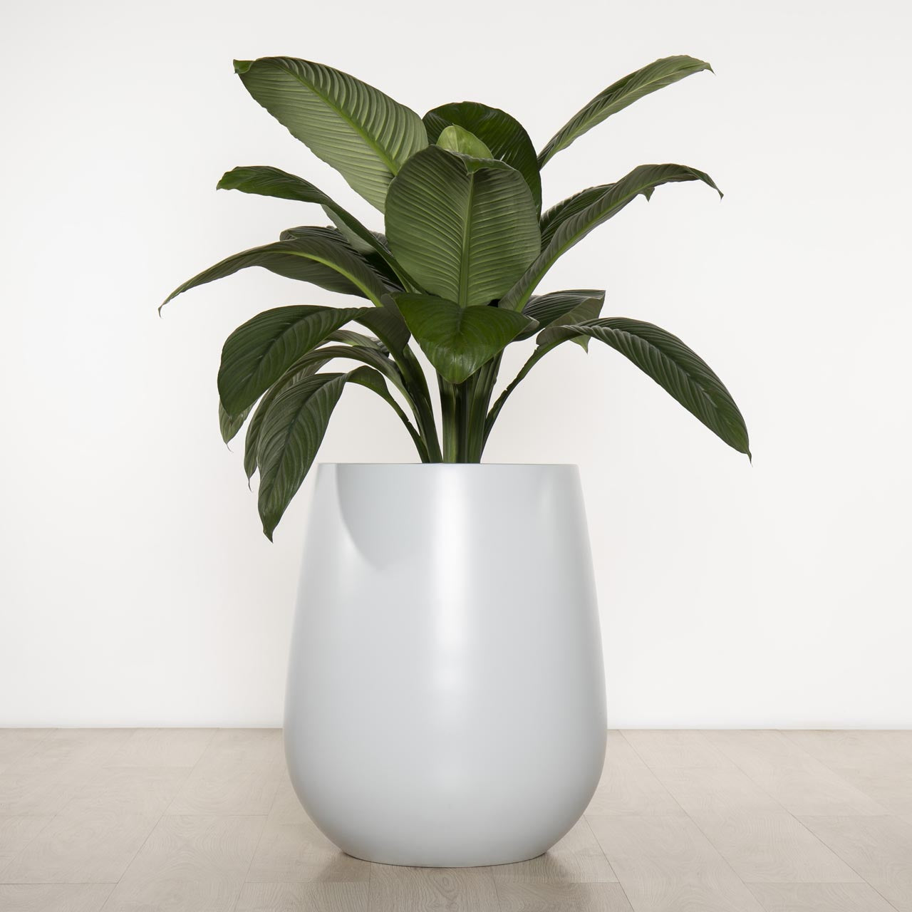 Balmoral Egg Planter