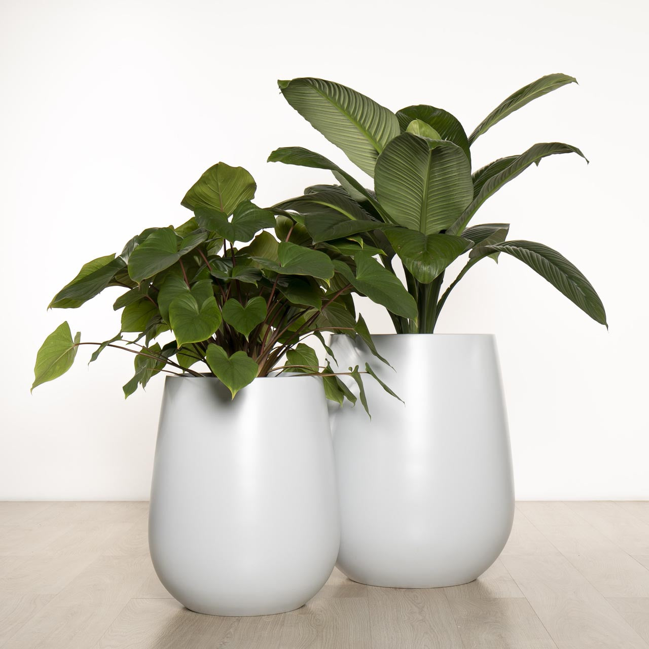 Balmoral Egg Planter