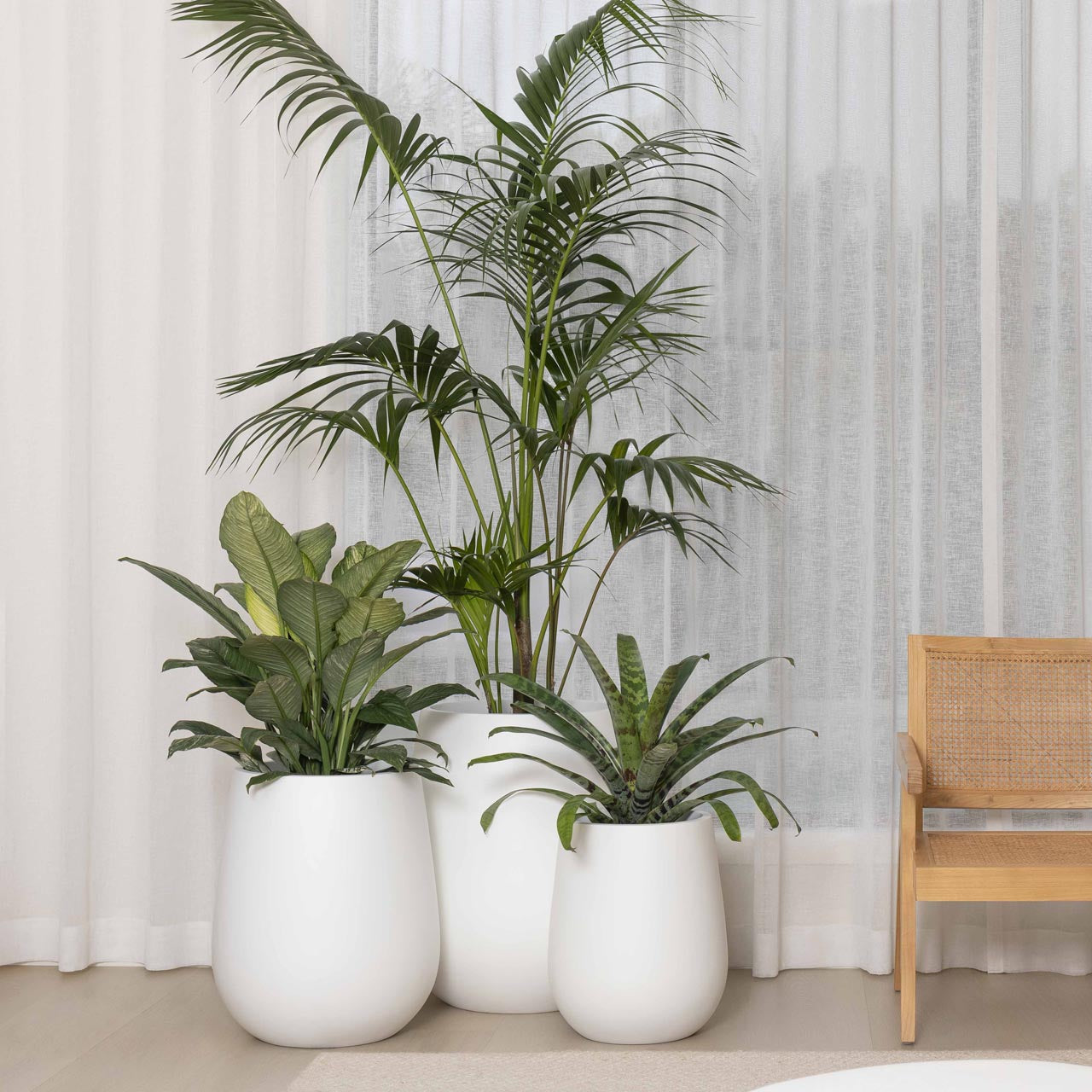 Balmoral Egg Planter