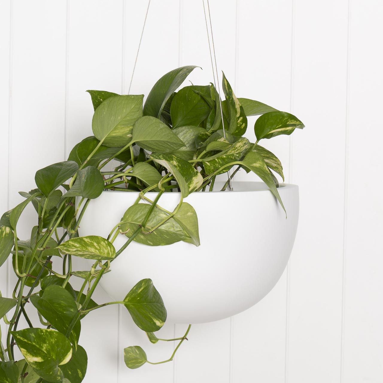 Crete Hanging Bowl Planter.