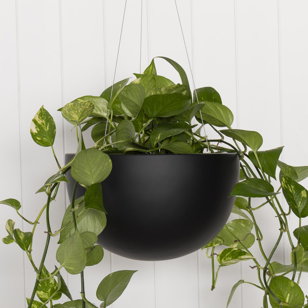 Crete Hanging Bowl Planter.