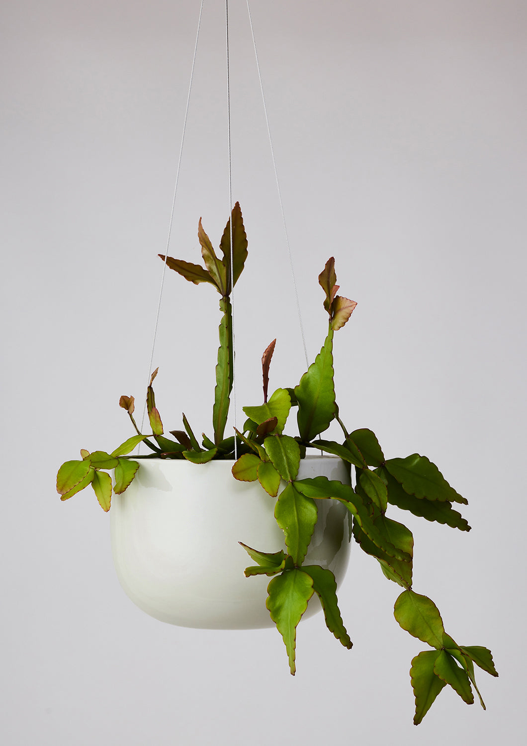 Glazed Earth Hanging Planter Ash Grey