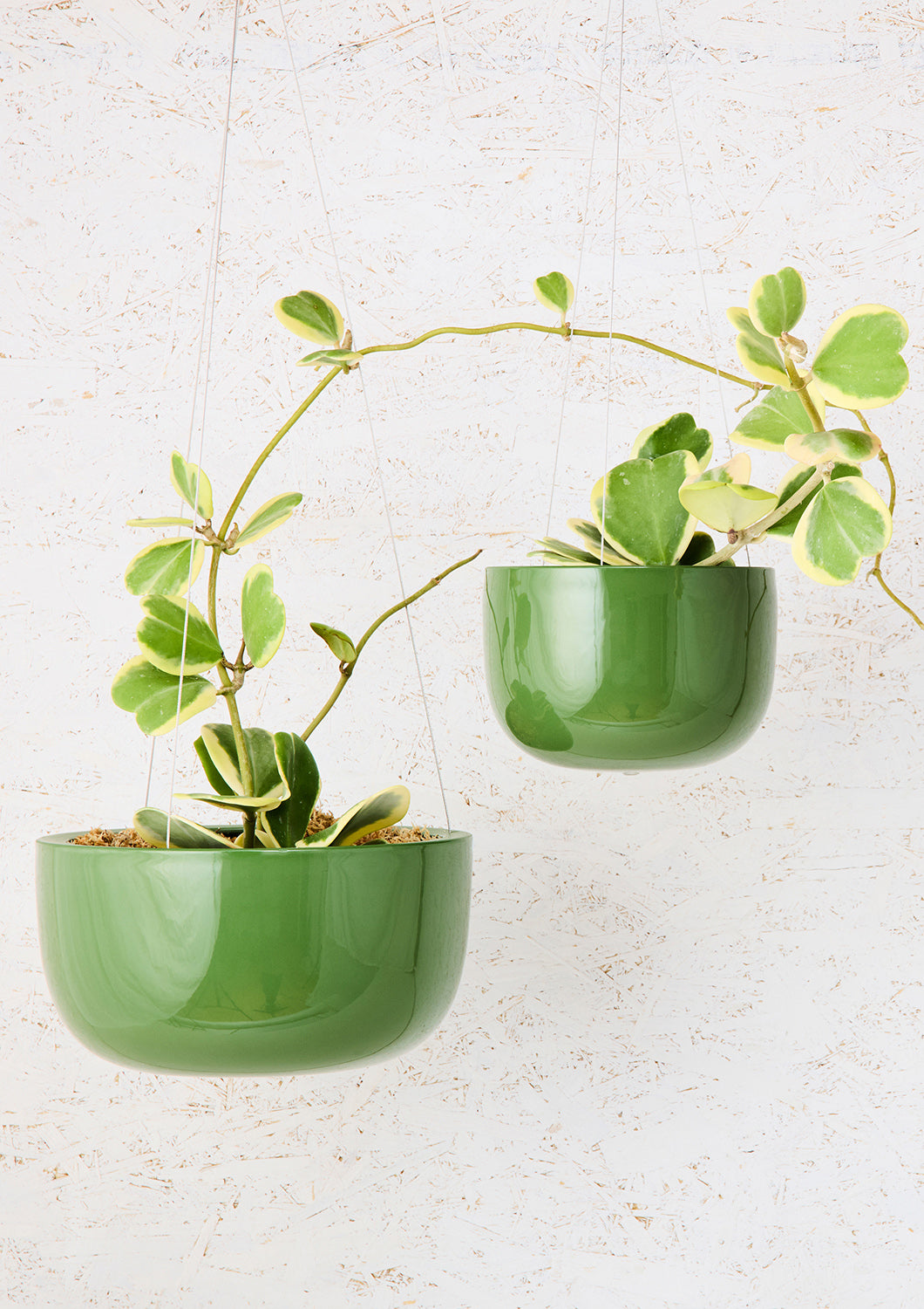 Glazed Earth Hanging Planter Forest Green