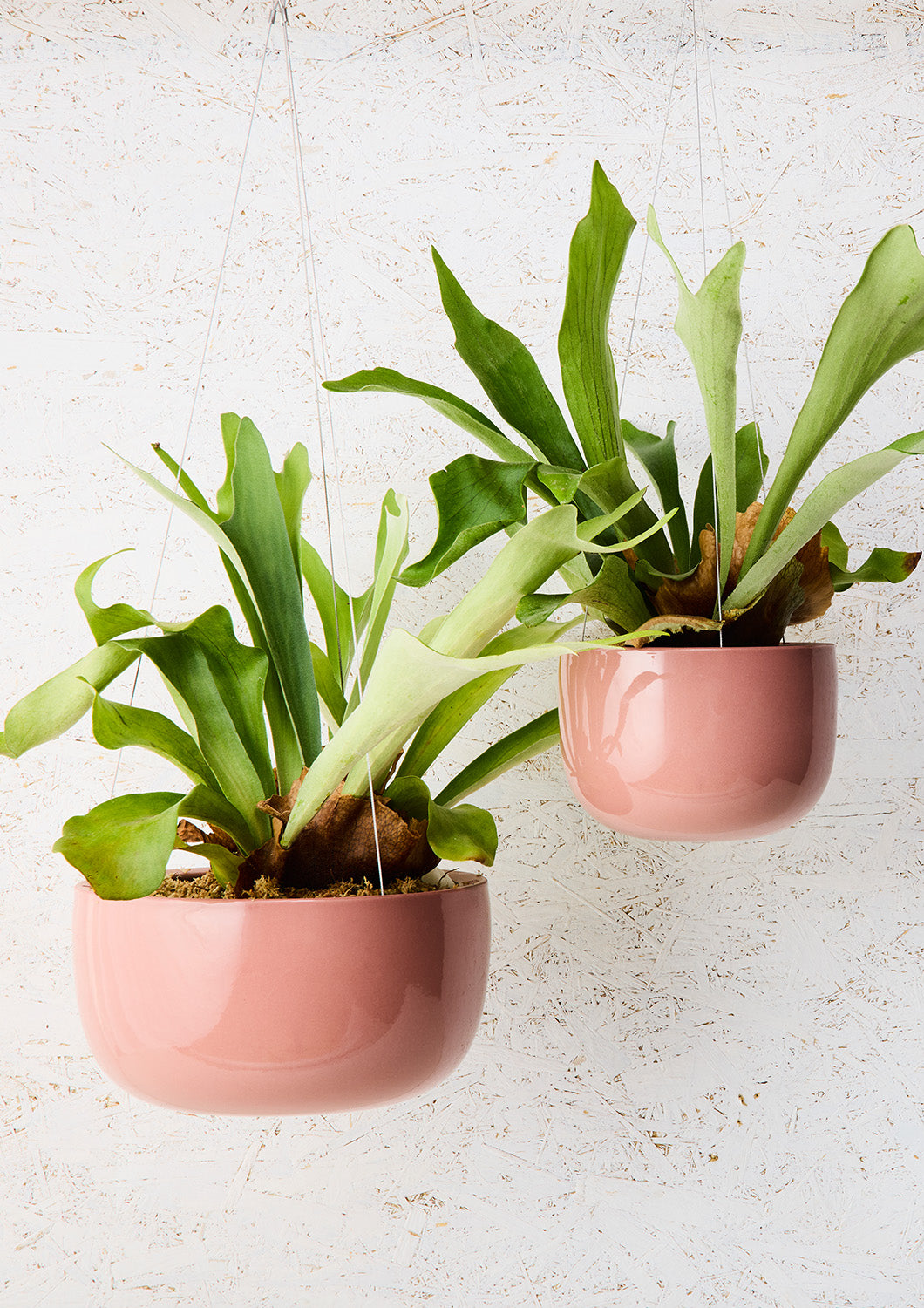 Glazed Earth Hanging Planter Ochre Gloss