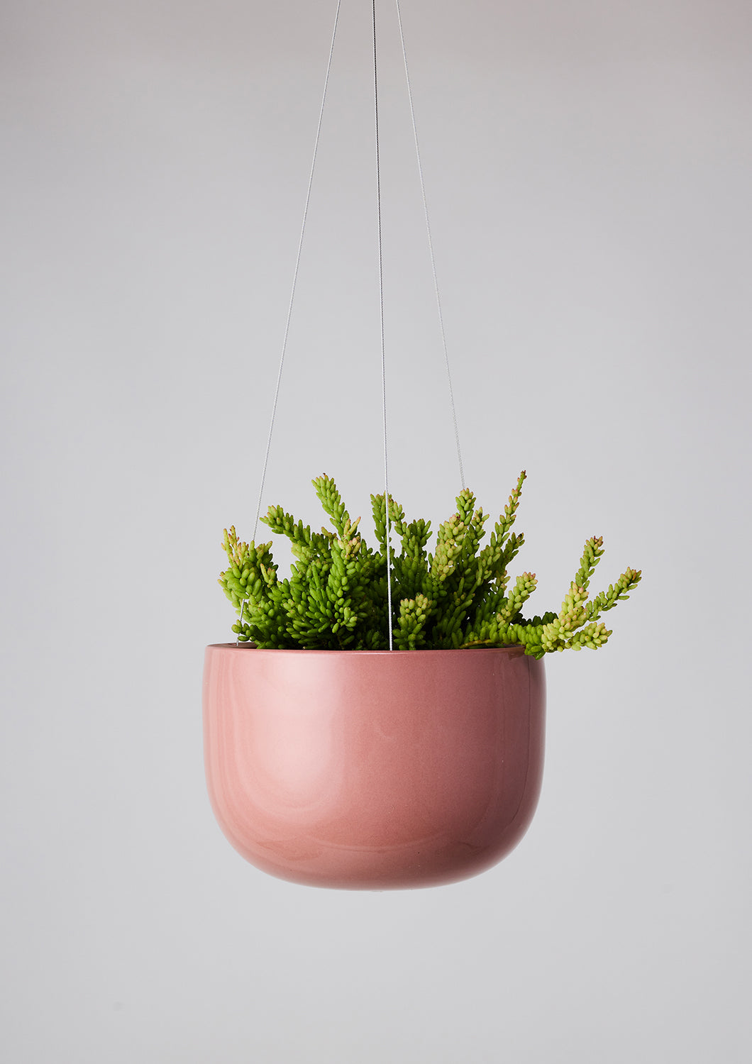 Glazed Earth Hanging Planter Ochre Gloss
