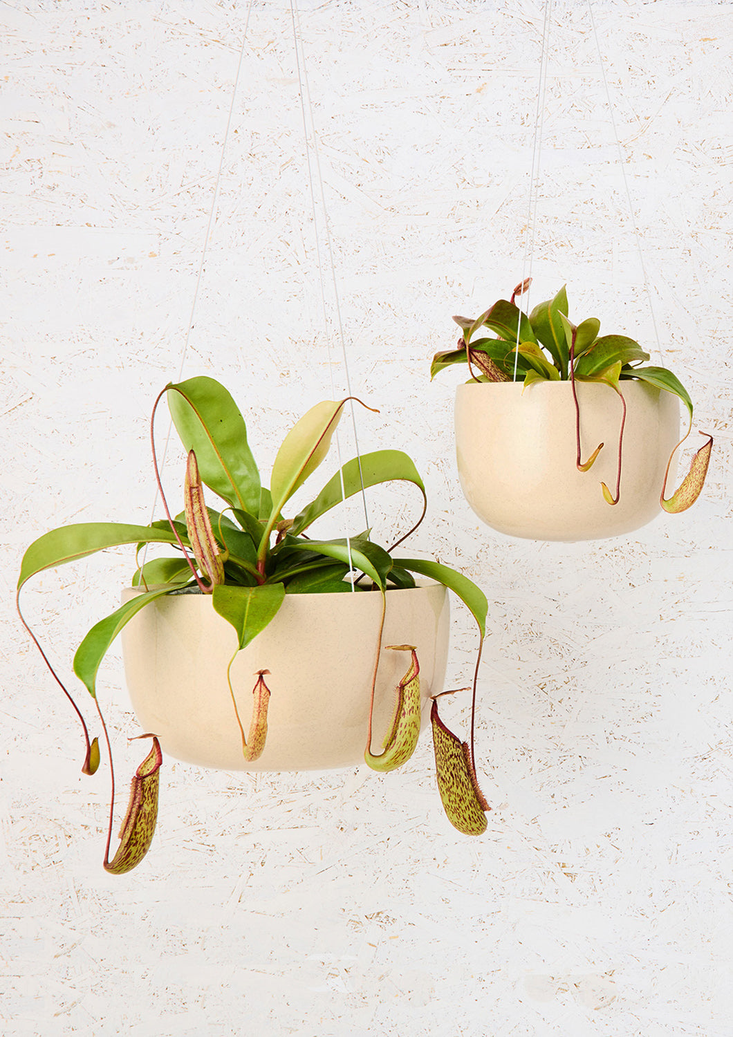 Glazed Earth Hanging Planter Speckled Clay