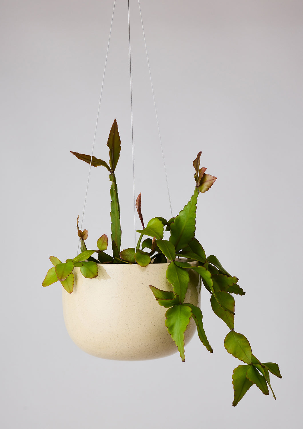 Glazed Earth Hanging Planter Speckled Clay