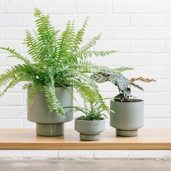 Gro Pot