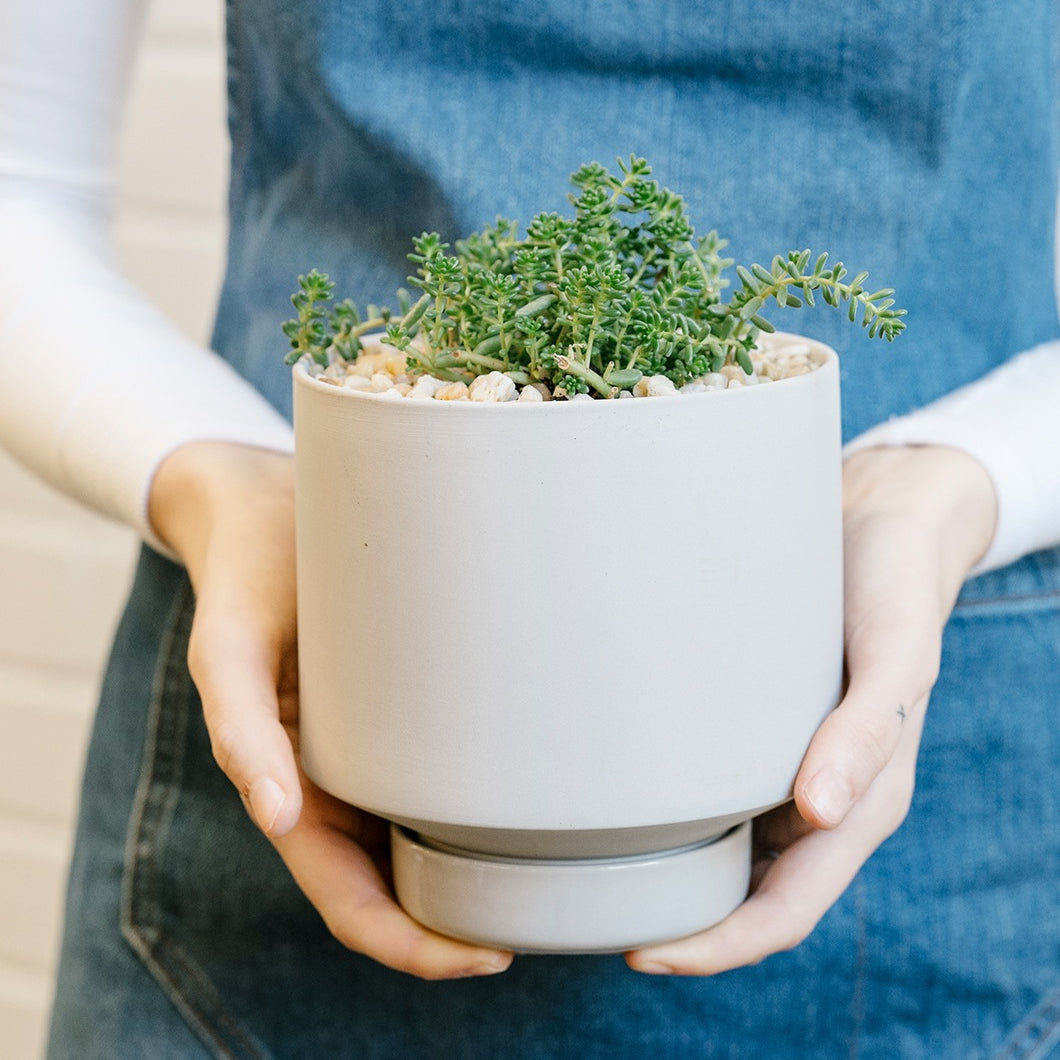 Gro Pot