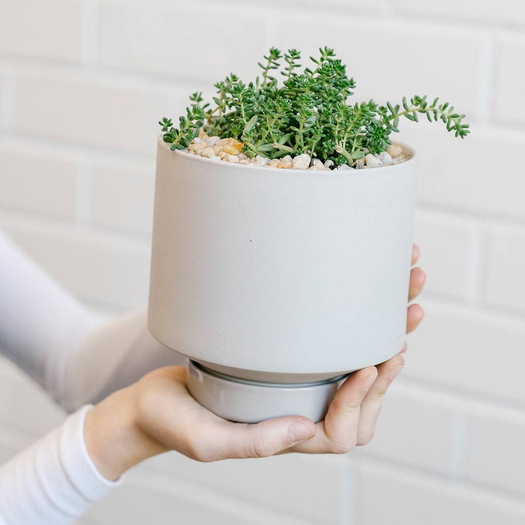 Gro Pot