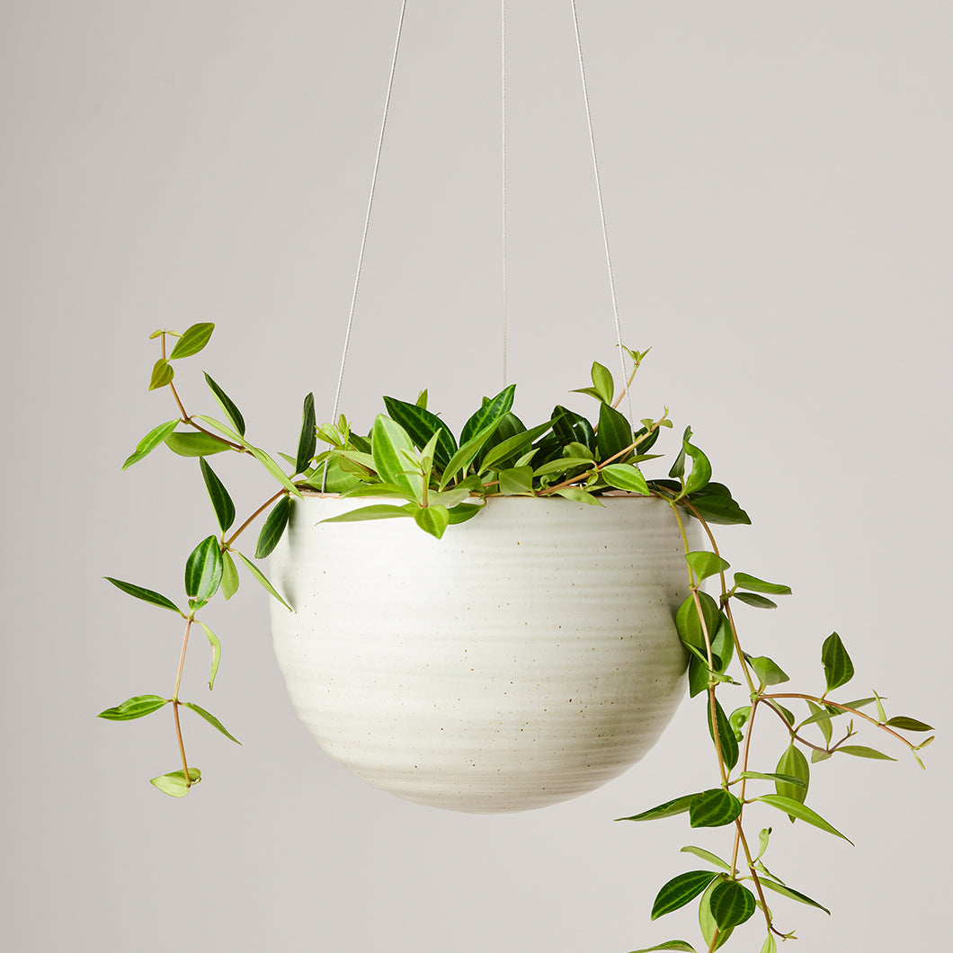 Hanging Spherical Planter Creamy White