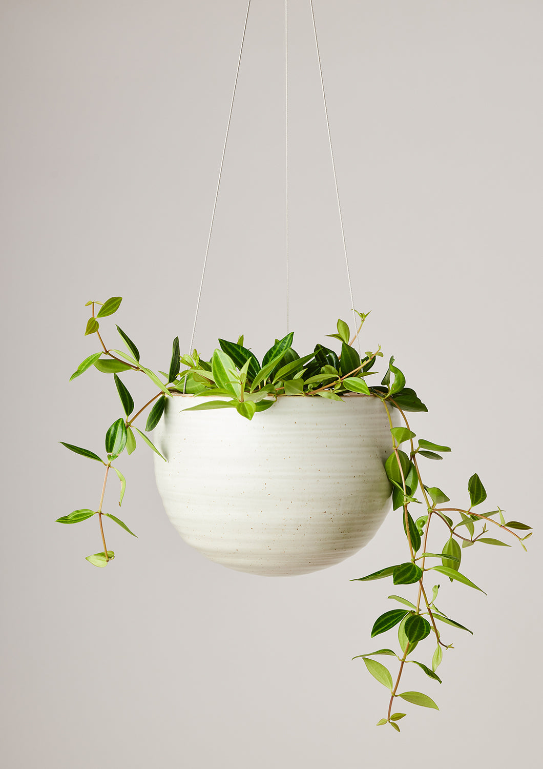 Hanging Spherical Planter Creamy White