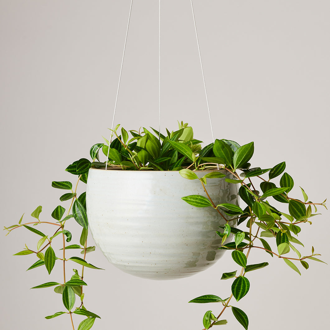 Hanging Spherical Planter Grey Crackle