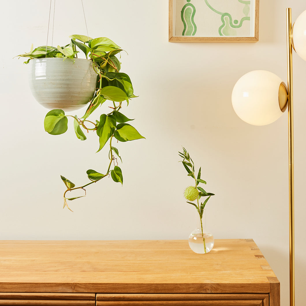 Hanging Spherical Planter Grey Crackle