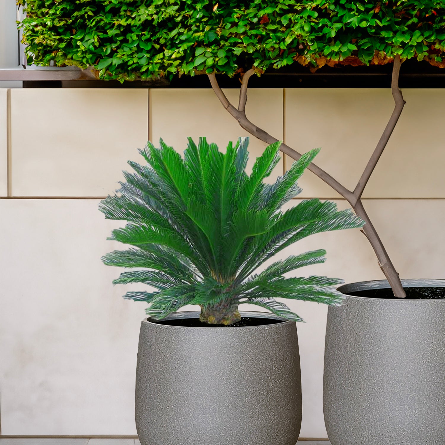 NEW Lightweight Bung Tub Planter Pot in Dove Grey