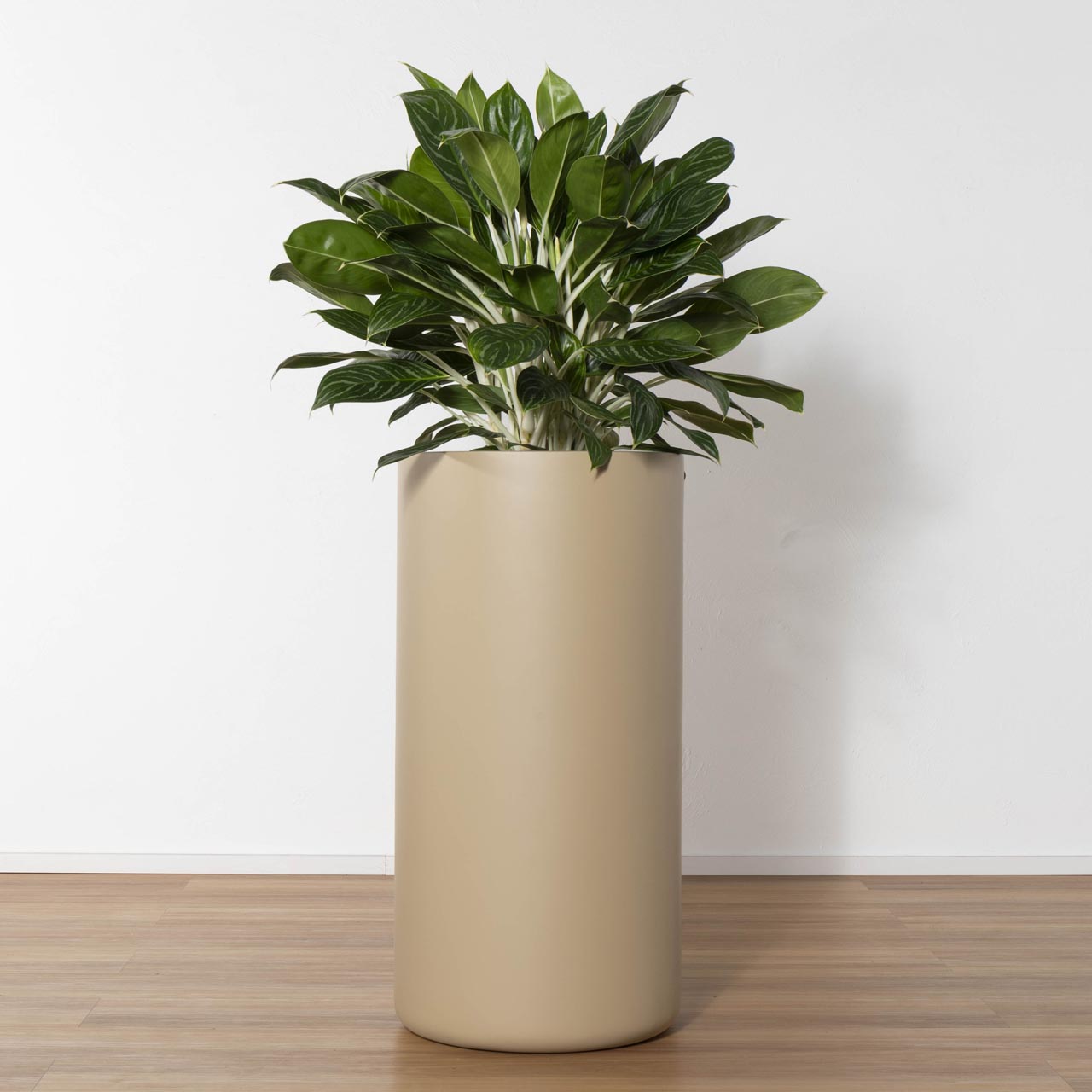 Narvik Tall Cylinder