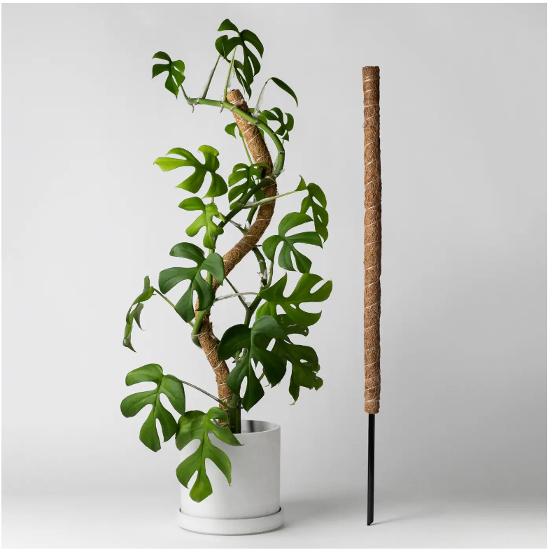 Plant support Coco Fibre Totem pole