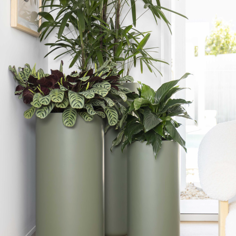 Tall Cylinder