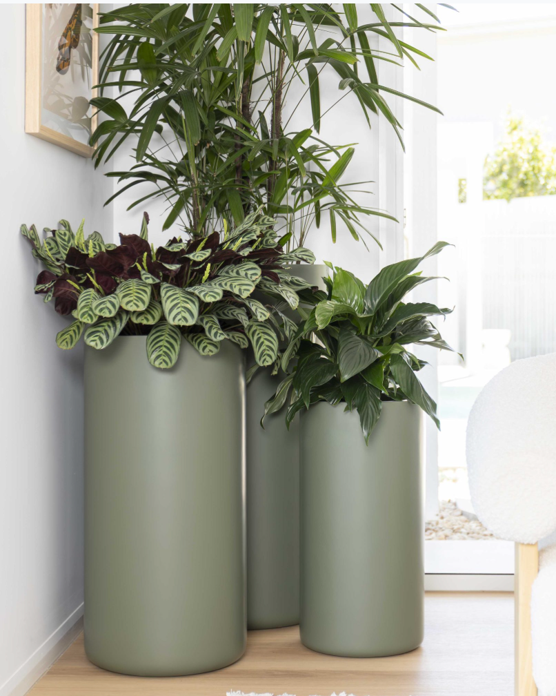 Tall Cylinder