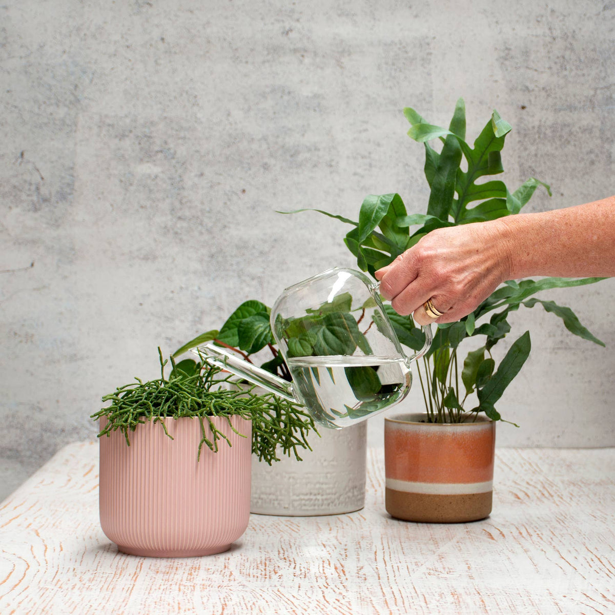 Urban Greens Glass Watering Can