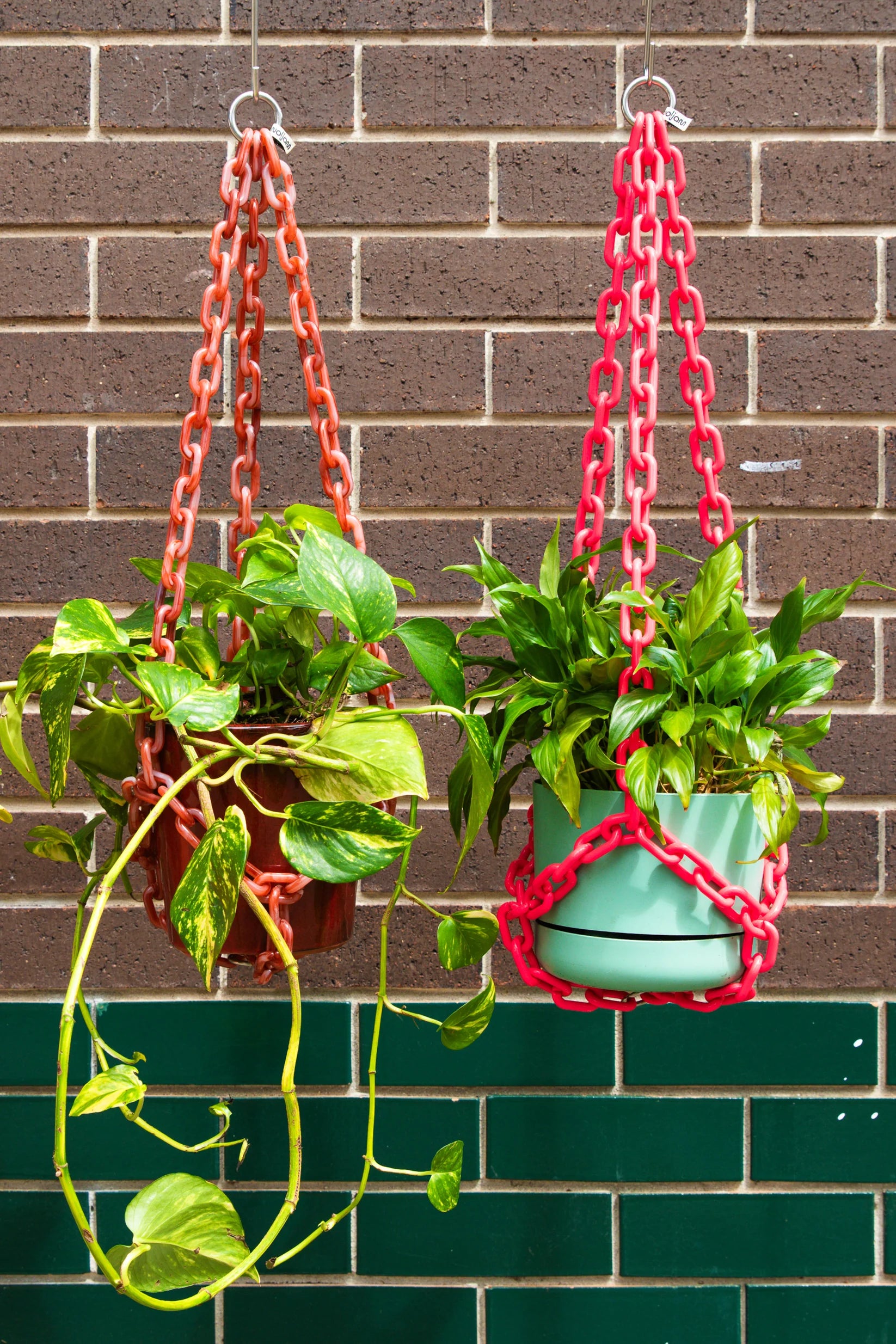 woljam Universal Hanger