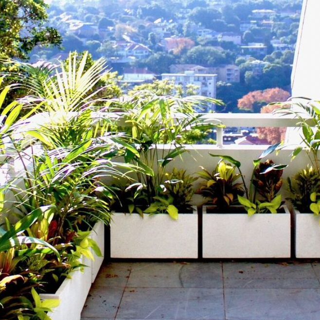 Lightweight Low Balcony Troughs