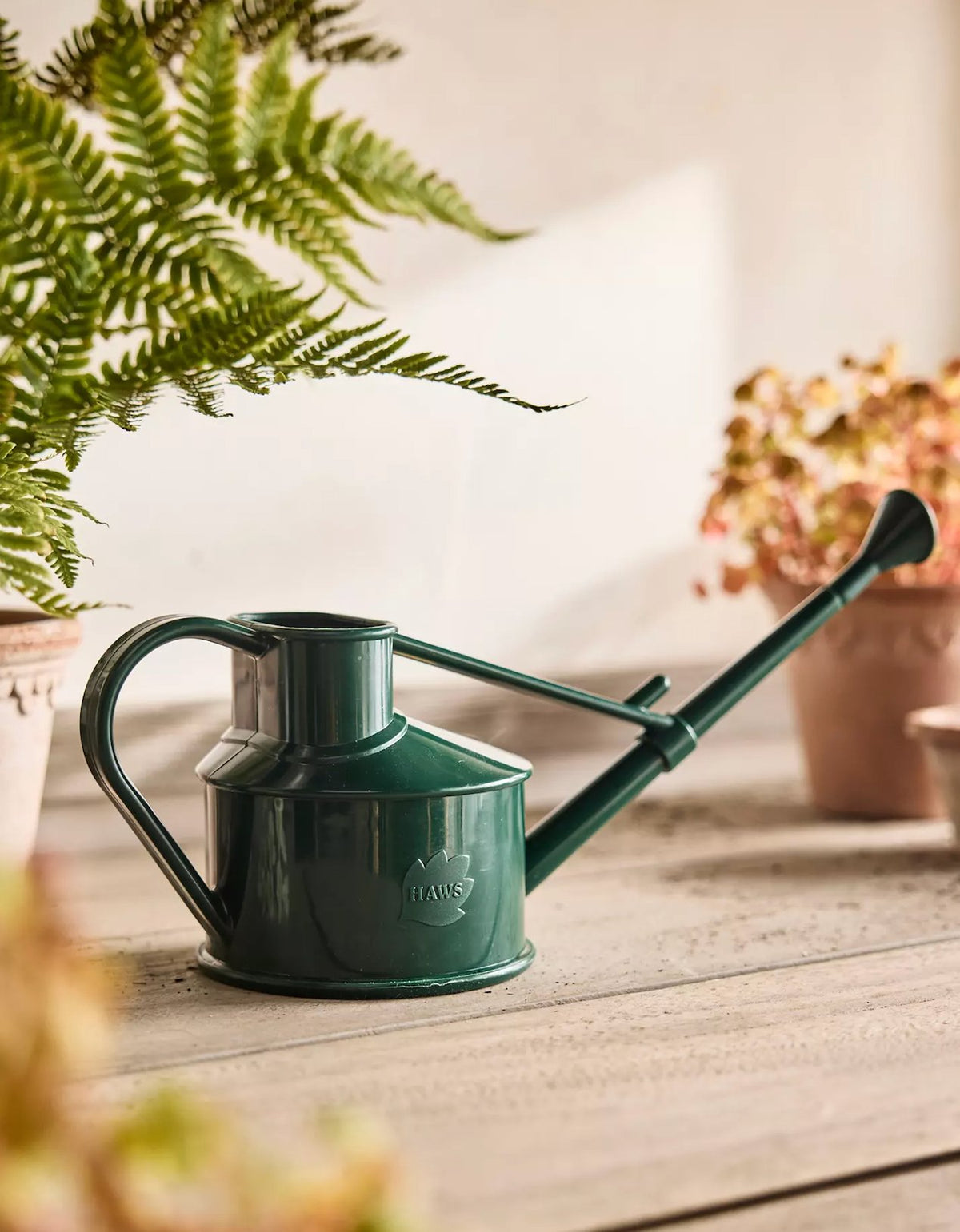 Plant Accessories