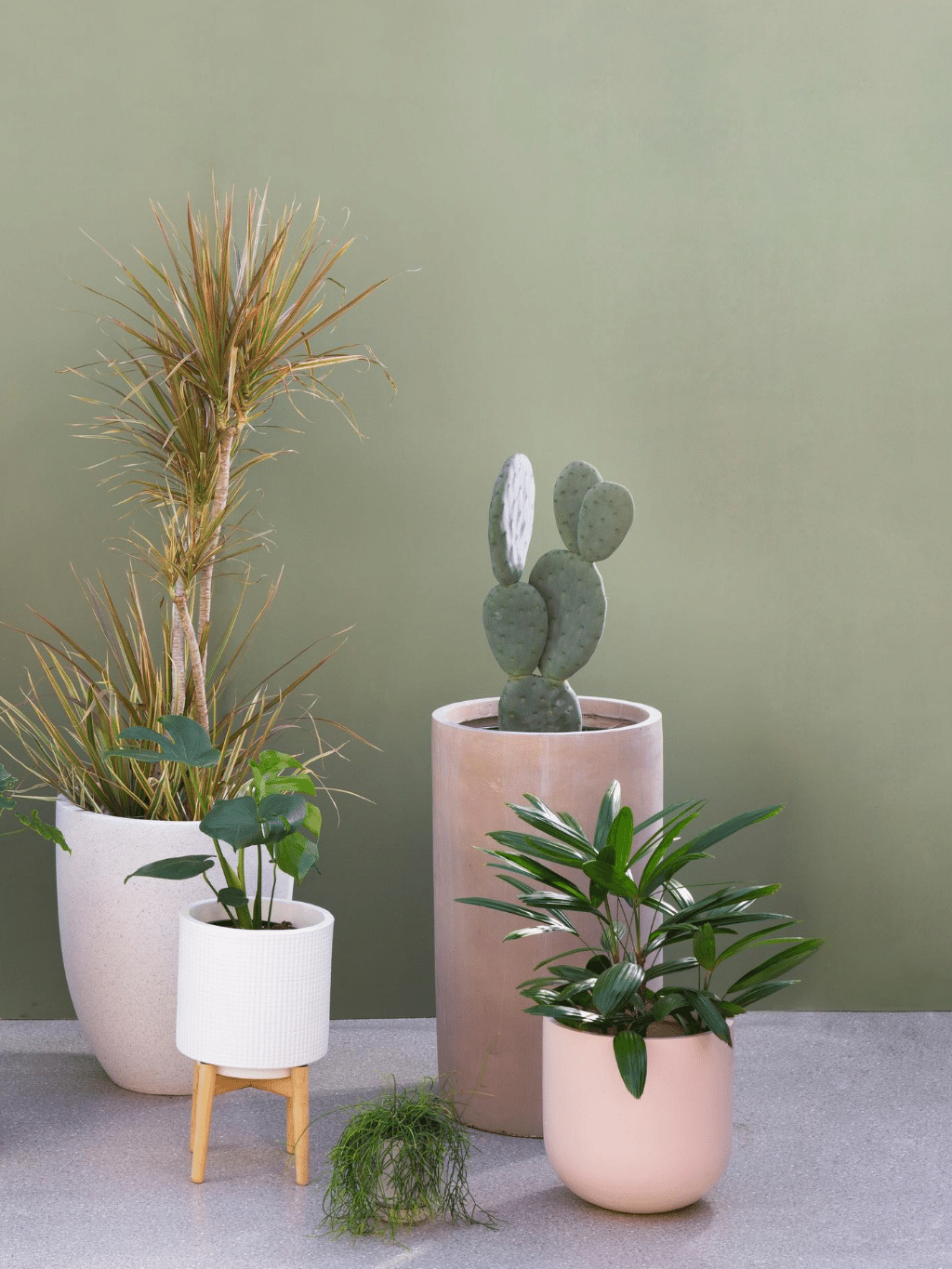 all pots