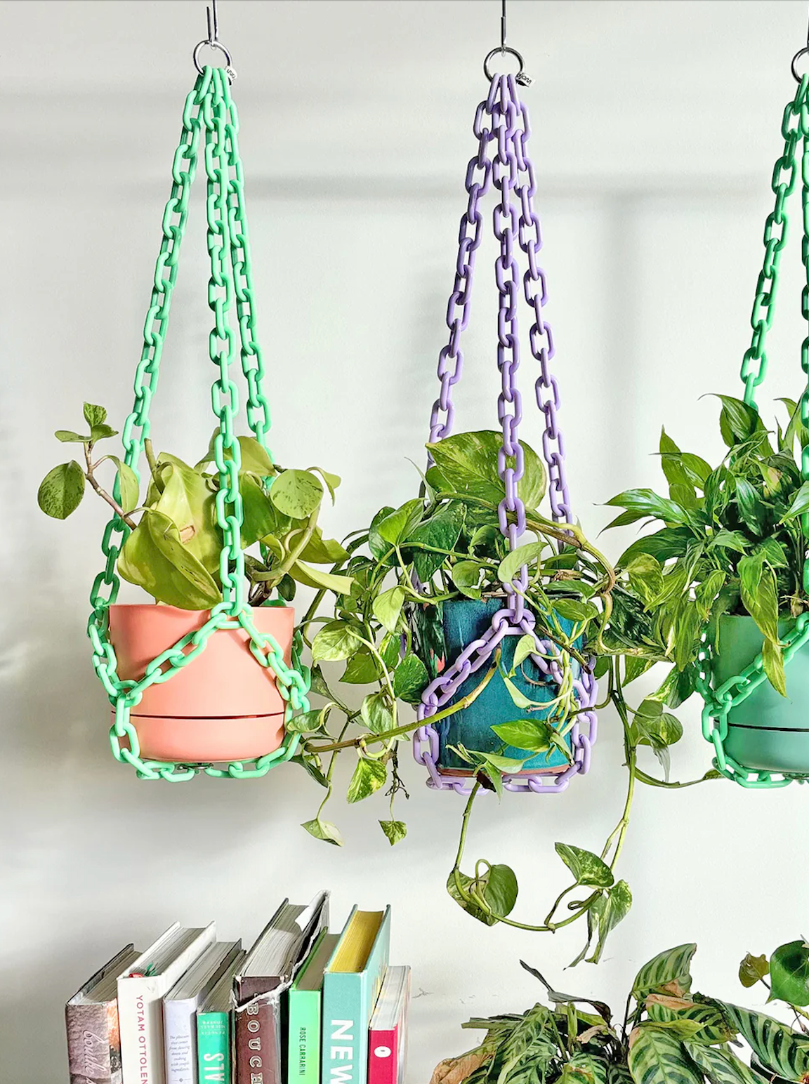 hanging pots