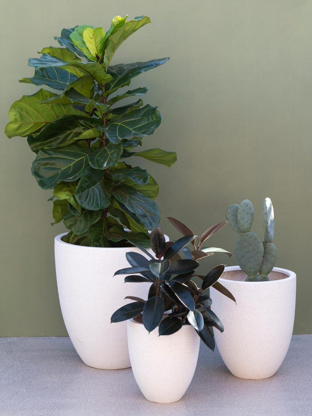 large pots