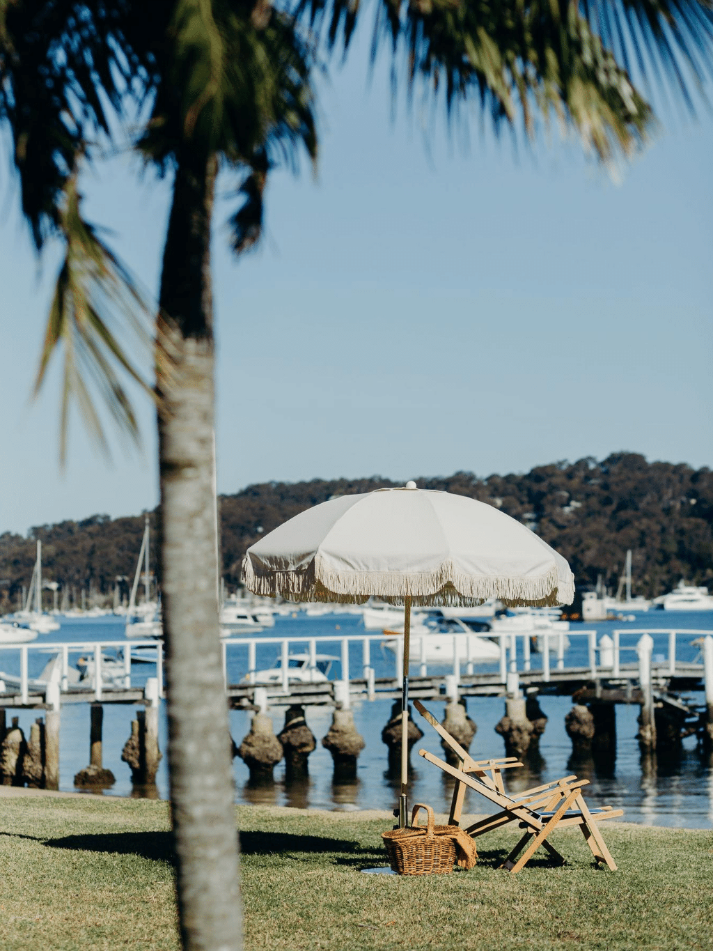 shade umbrellas & stands