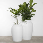 Aphrodite Urn Planter. Lime Wash Chalk