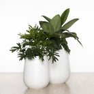 Balmoral Egg Planter