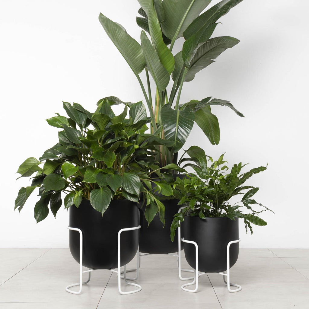 Bodo Planter Stand