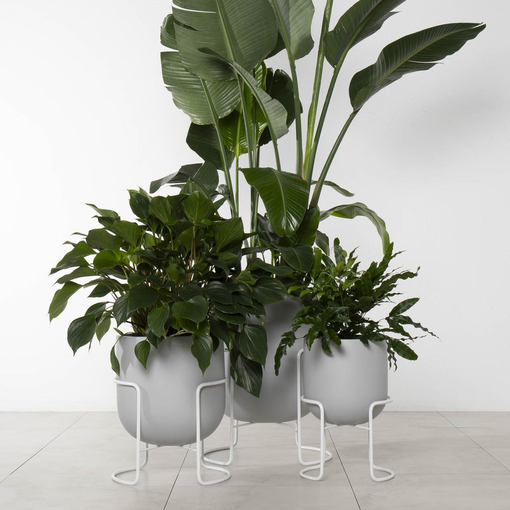 Bodo Planter Stand