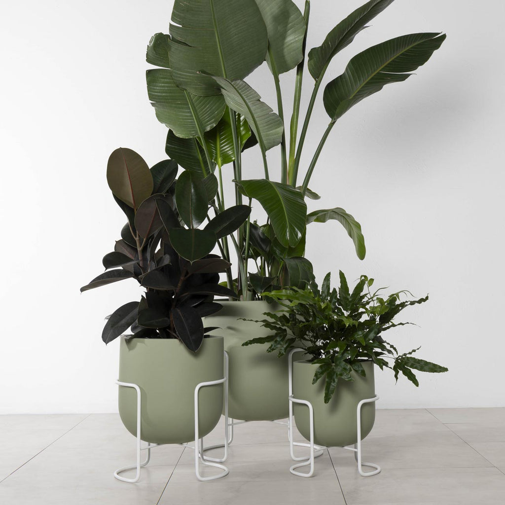 Bodo Planter Stand