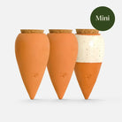 Box Trio Mini Ollas - the Iconics