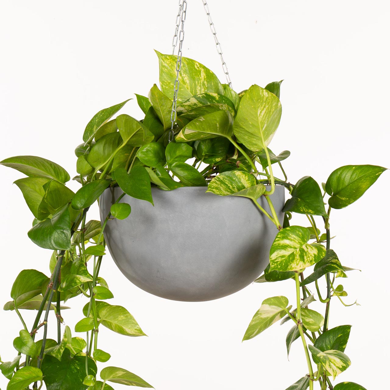 Crete Hanging Bowl Planter.