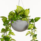 Crete Hanging Bowl Planter.