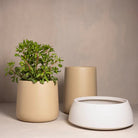 Dune Pot