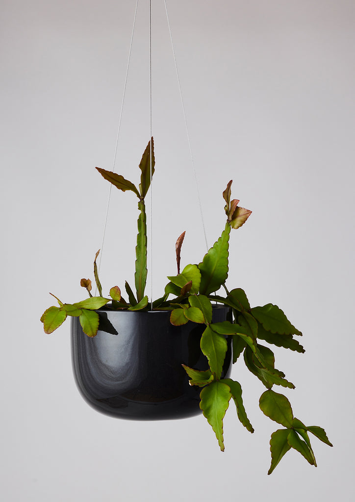 Glazed Earth Hanging Planter Black Onyx